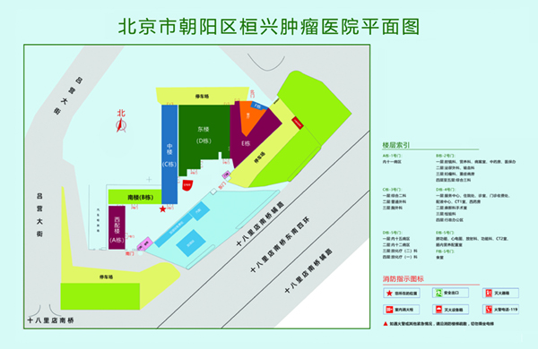 大鸡吧揉逼猛操视频了啊阿啊北京市朝阳区桓兴肿瘤医院平面图